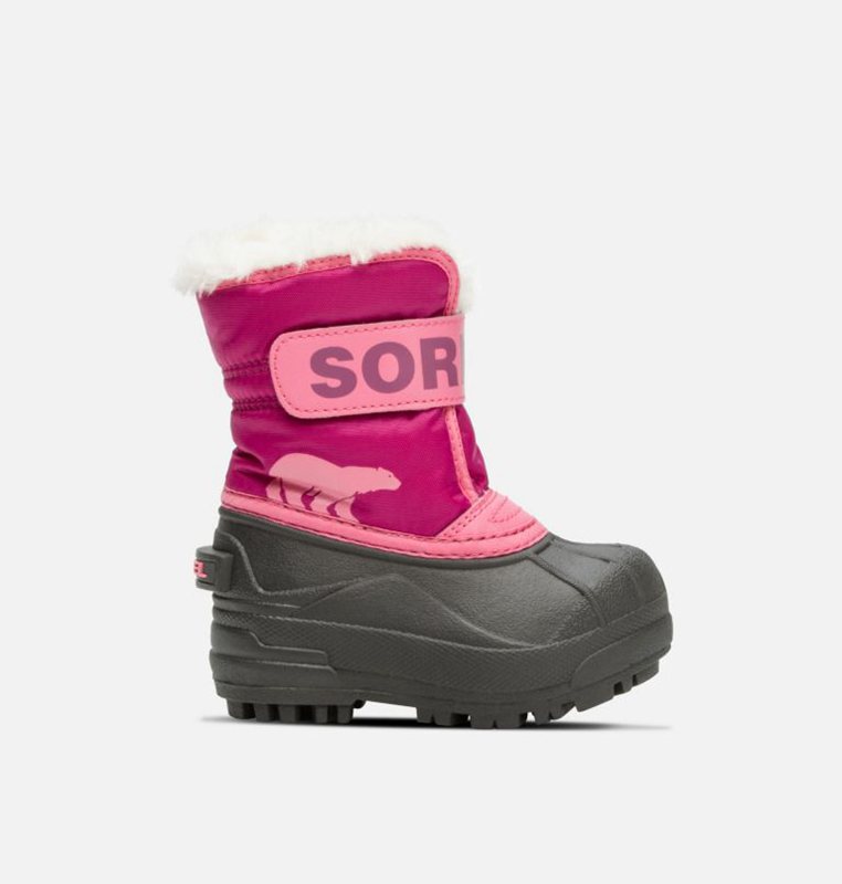 Sorel Barn Vinterkängor Rosa/Svarta - Toddler Commander™ - YSU-752601